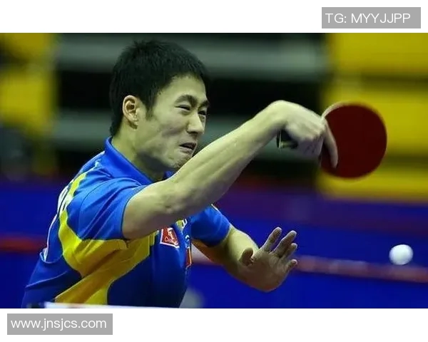 从零基础到高手之路乒乓球配合技巧全解析与实战训练指南