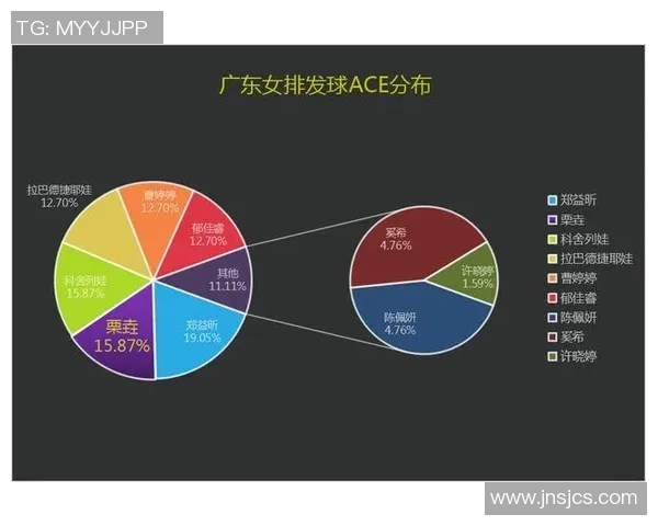 南京排球队技术对比深度解析与发展趋势展望 南京排球队技术对比深度解析与发展趋势展望